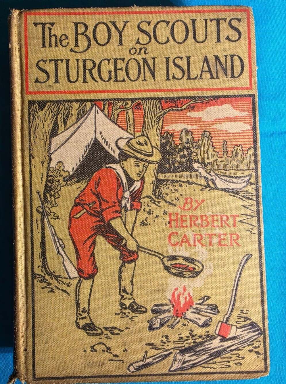 The Boy Scouts on Sturgeon Island by Herbert Carter Hardcover Book 1914